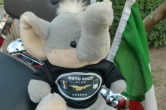 Aquile 201300022