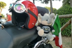 Aquile 201300023