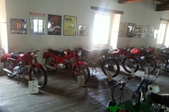 Benelli 2015 (62)